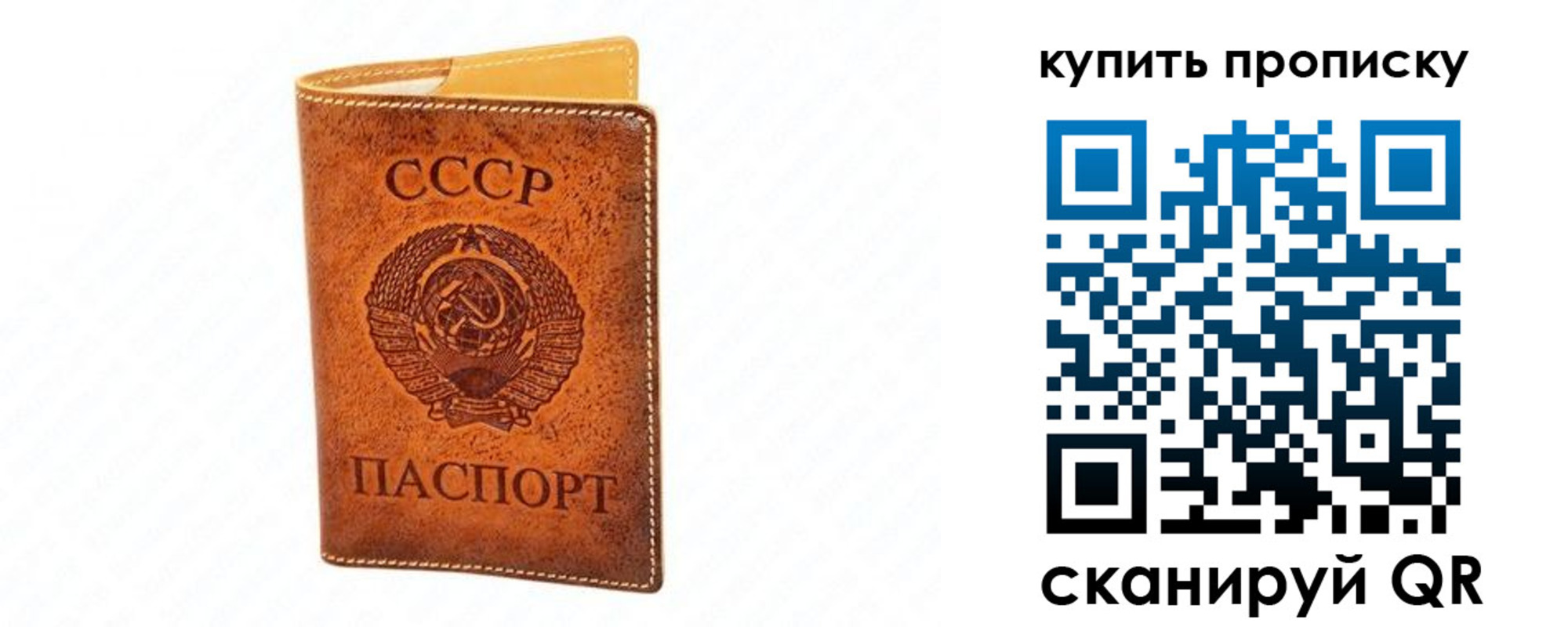 прописка поиск в Каргополе