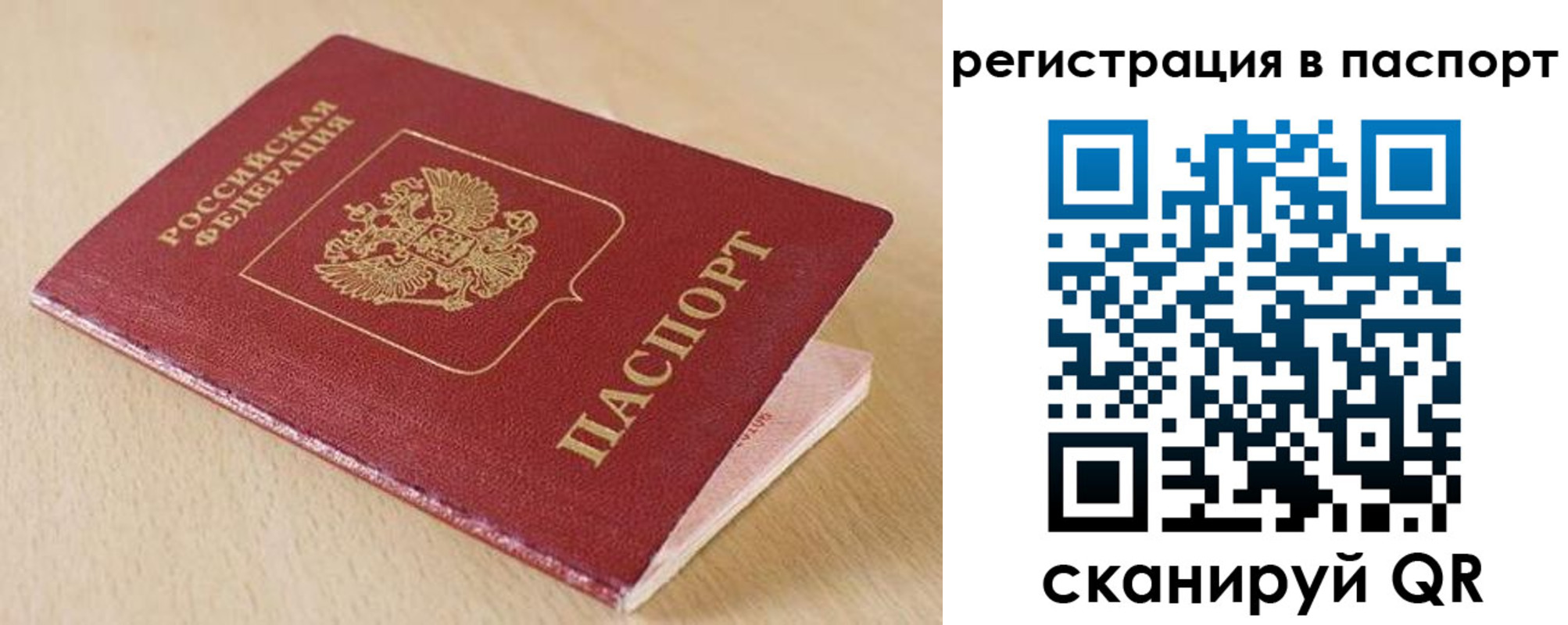 прописка поиск в Каргополе