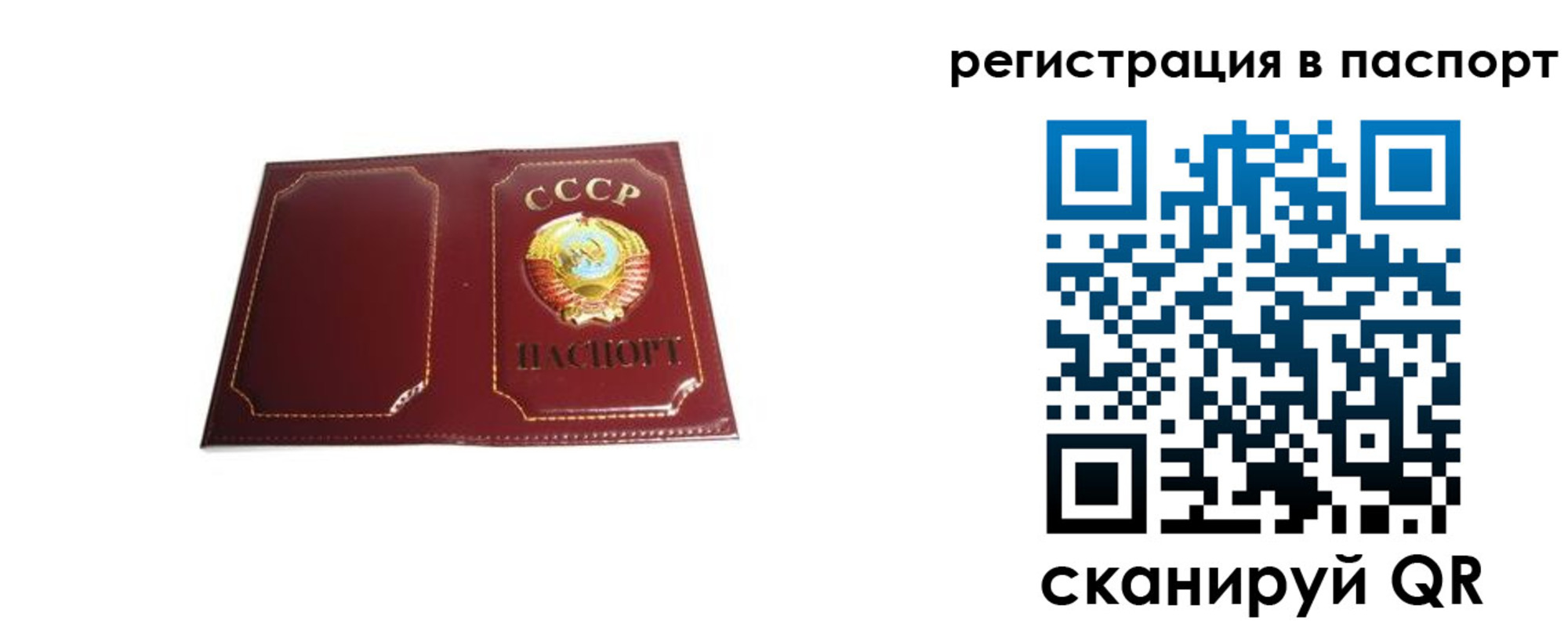 прописка 2025 в Каргополе